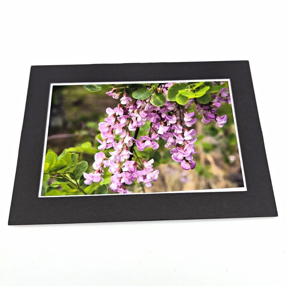 Botanical Pink Floral Photo Print 5x7 Matted Art Cottagecore Accent Decor Art